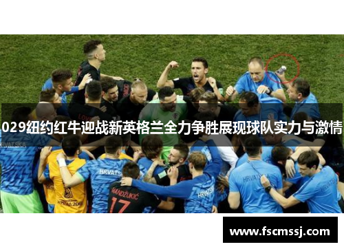 029纽约红牛迎战新英格兰全力争胜展现球队实力与激情